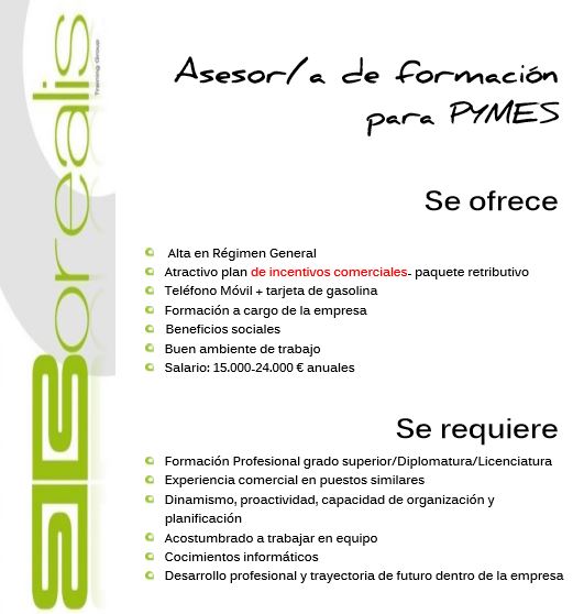 Asesor/a de Formación para Pymes