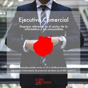 Ejecutivo Comercial