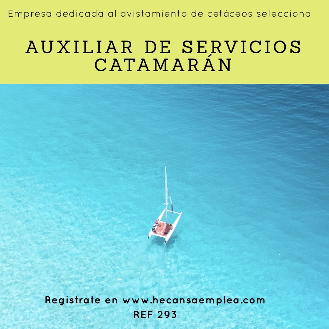 Auxiliar de Servicios para Catamarán