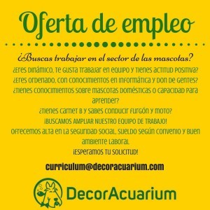 DecorAcuarium