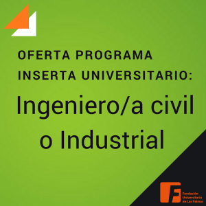 Ingeniero Civil o Industrial