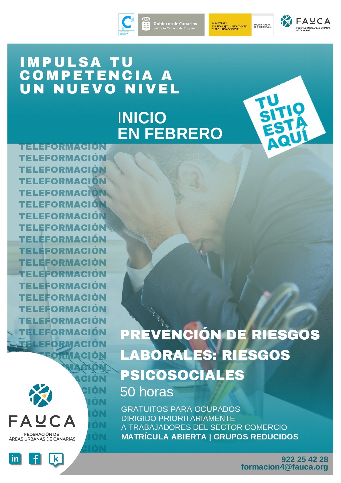 Curso de FAUCA. PREVENCIÓN DE RIESGOS LABORALES : RIESGOS PSICOSOCIALES (50 HORAS)